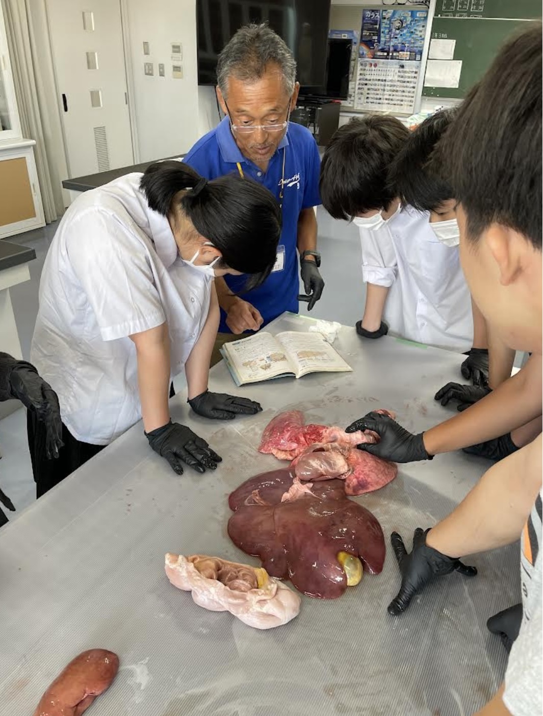 人体 の 不思議 展 大阪